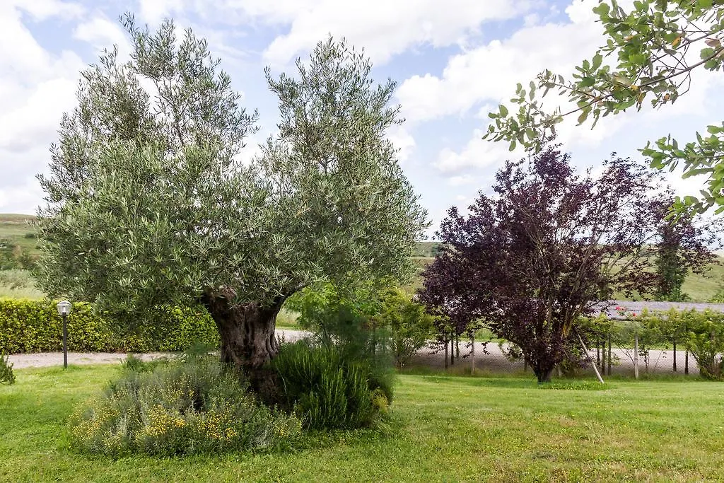 La Leopoldina Holiday Home Montaione